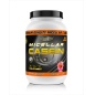  Quantum Nutraceuticals Micellar Casein 910 